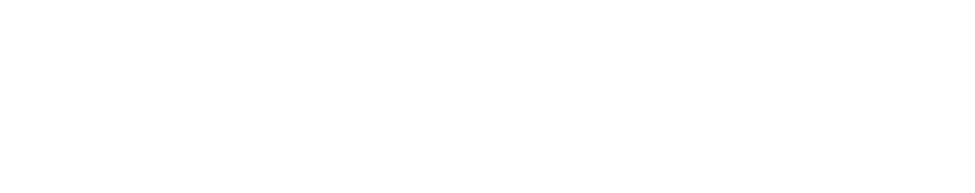 The Lineup The Lineup